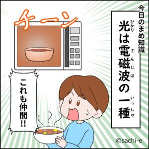 光は電磁波の一種　電子レンジで温まったご飯を持って感動している私。